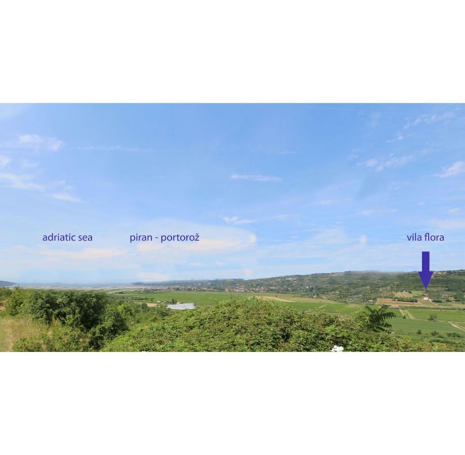 Vila Flora Secovlje Luaran gambar