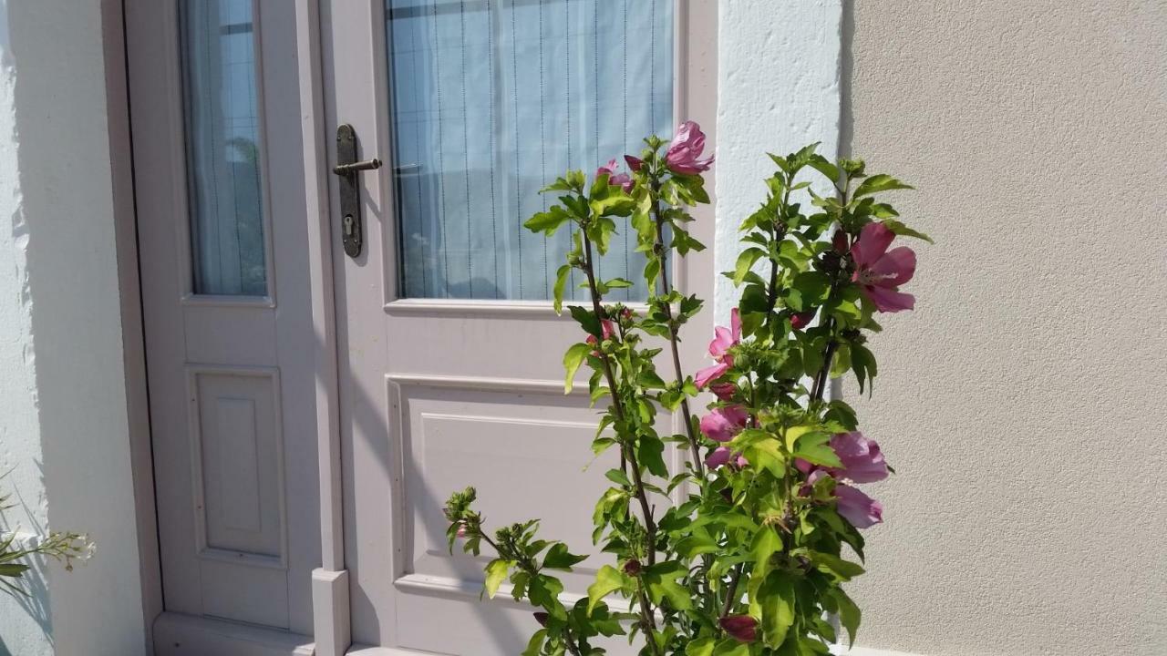 Vila Flora Secovlje Luaran gambar