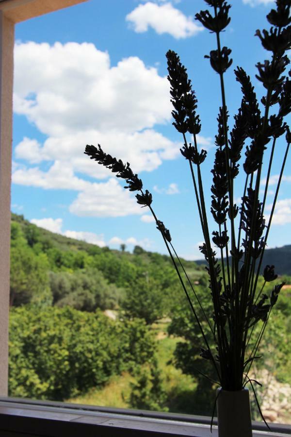 Vila Flora Secovlje Luaran gambar